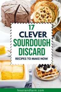17 Clever Sourdough Discard Recipes To Make Now