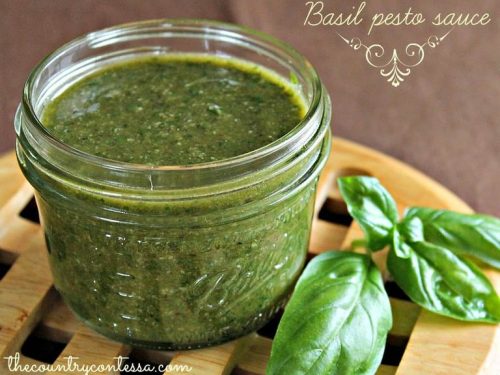 Basil Pesto Sauce Feast And Farm,Horseradish Leaves