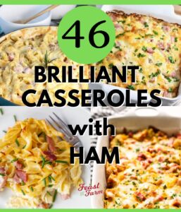 46 Brilliant Casseroles with Ham