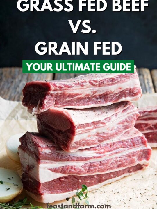 grass fed beef vs grain fed