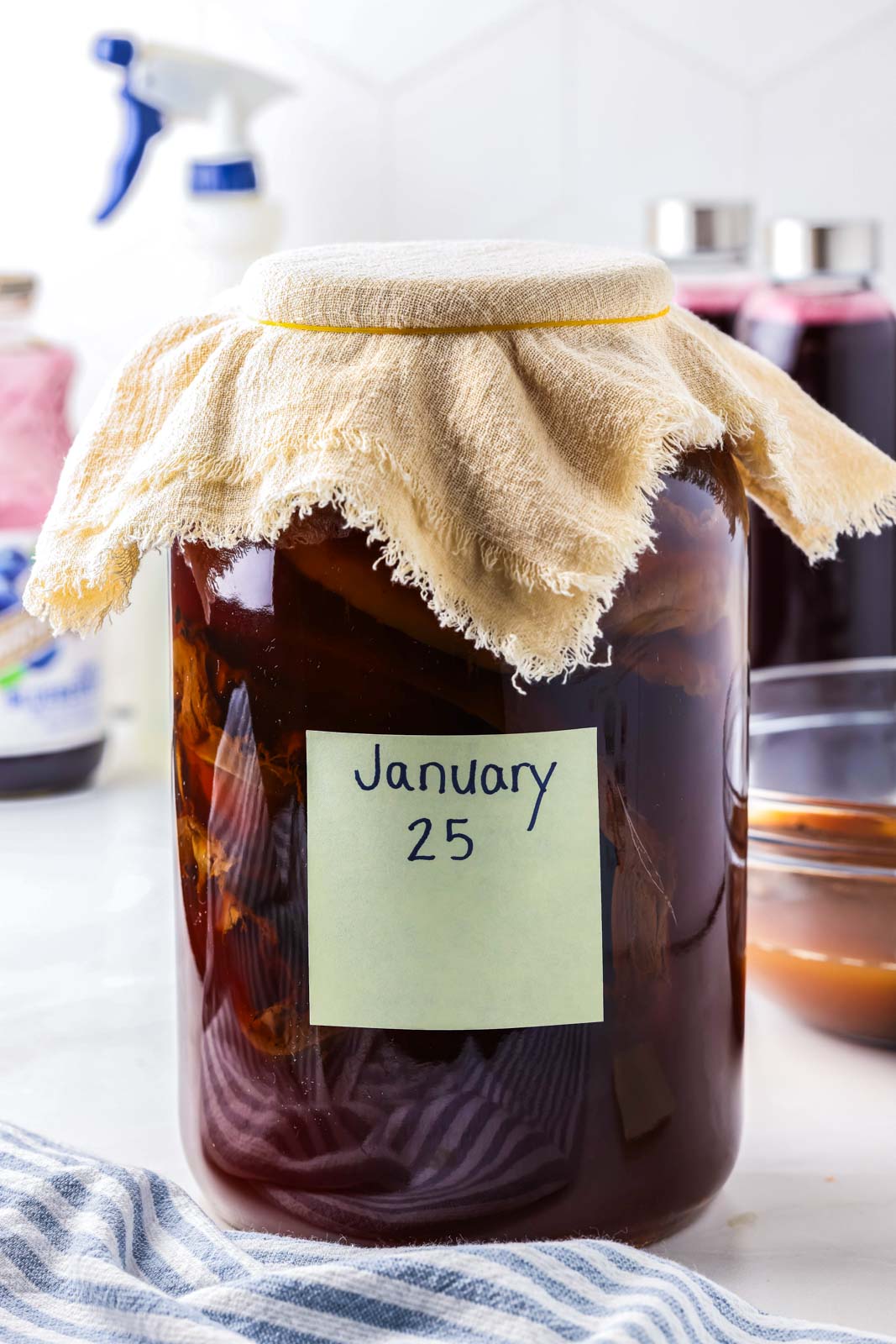 a gallon jar of first ferment kombucha with a muslin linen on top with a rubber band. 