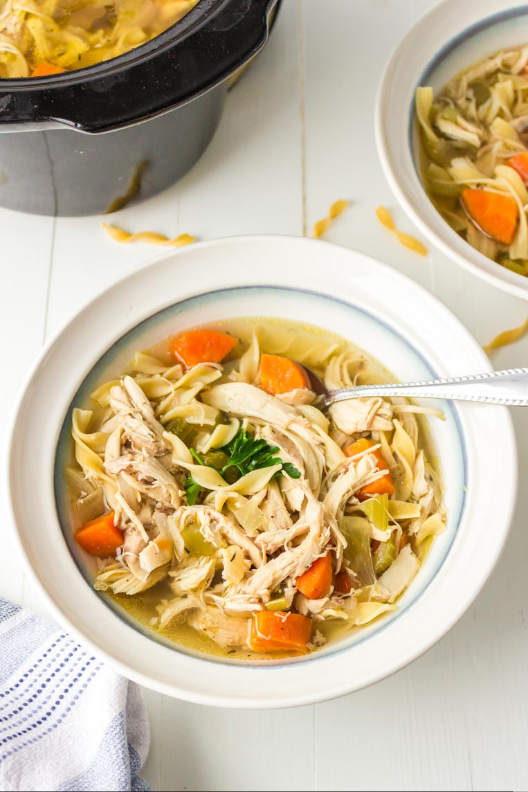 Slow Cooker Chicken Noodle Soup Recipe - Feast and Farm