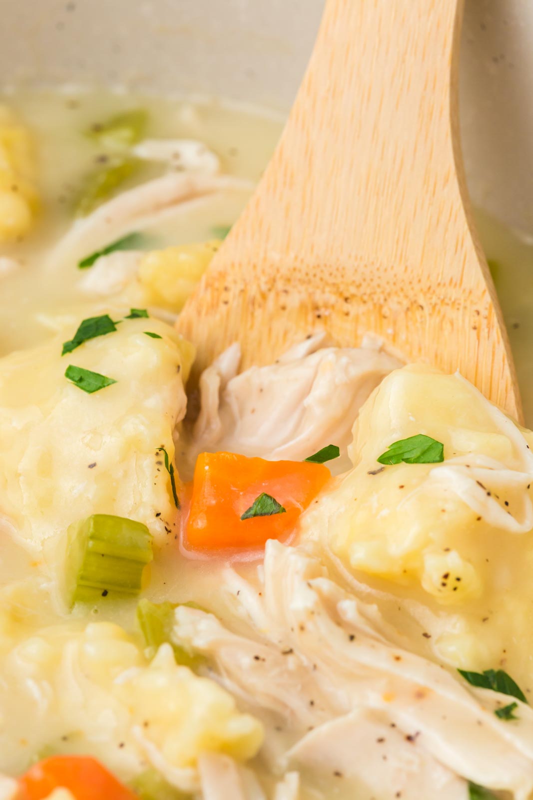a spoon close up in a bowl of chicken and dumplings 