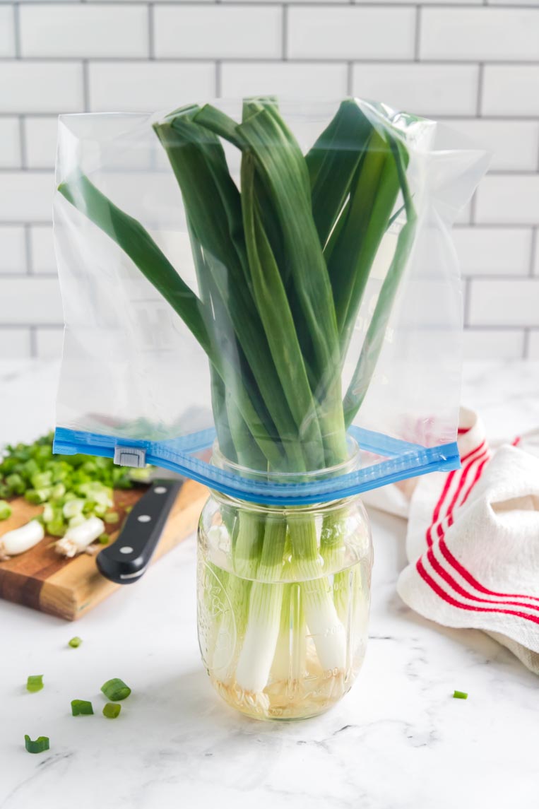 a jar of green onions in water with a plastic bag on top for storing