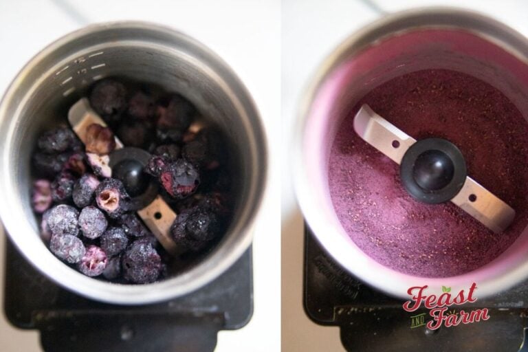 freeze dried blueberries in a grinder beside berries that have been ground to a powder