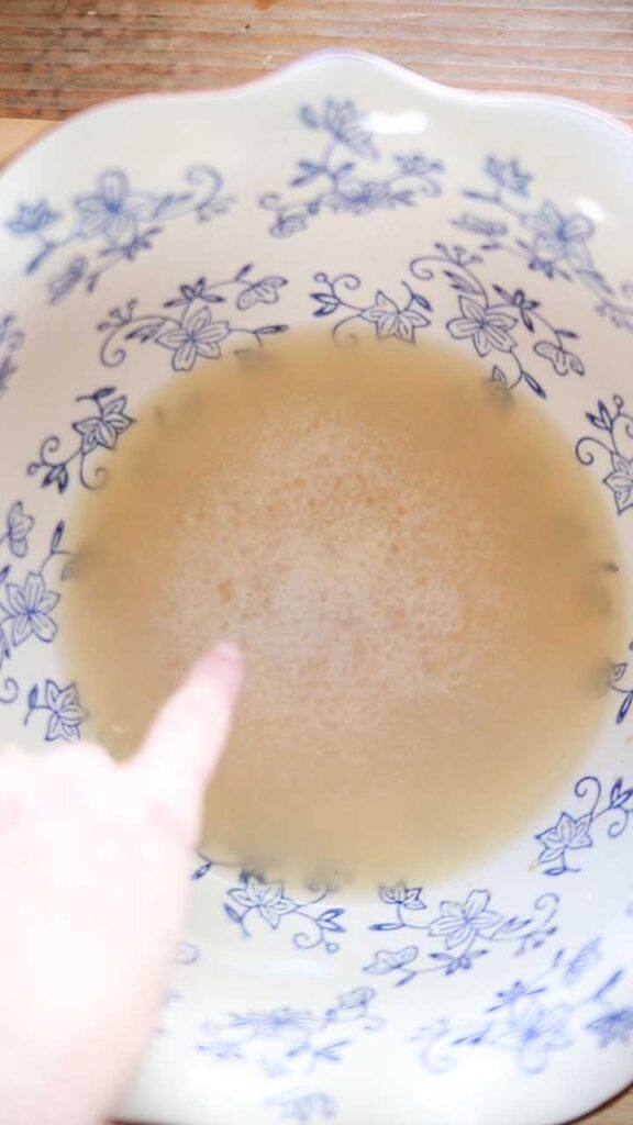 a bowl of yeast beginning to foam in water 